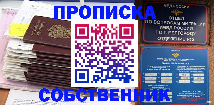 прописка законно в Одинцово